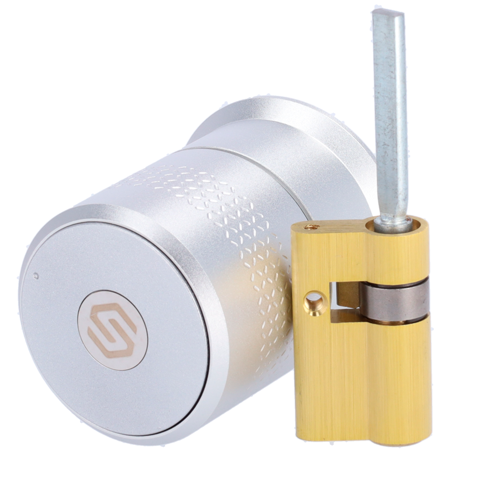 (SF-SMARTLOCK-BT-PRO) Serrure intelligente Bluetooth - Cylindre européen motorisé réglable - Utilisateurs invités sans être à proximité - Logements vides, familiaux et locatifs - Moteur puissant pour les portes blindées - Application Cloud Smart Lock | Clés physiques