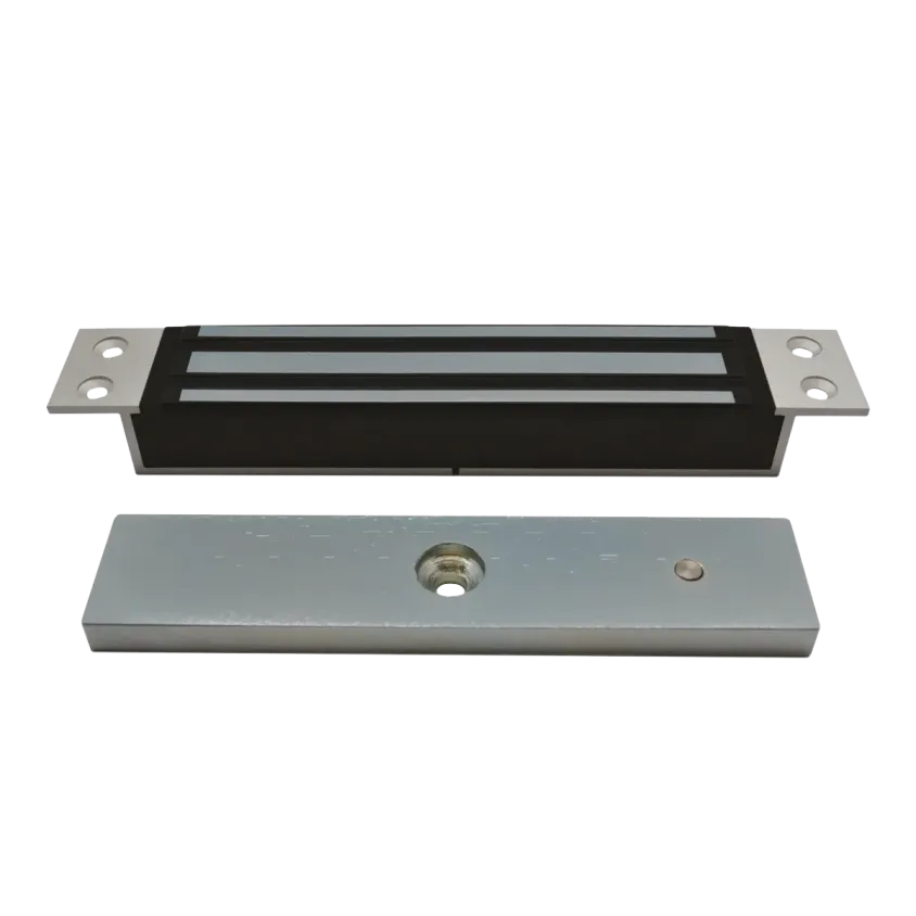 (EMM60038) Ventouse EM enc. 38 mm 600 lbs 12/24V DC - NF S 61-937