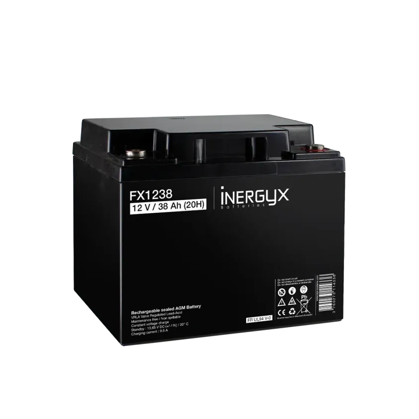 (FX1238) Batterie rechargeable VRLA 12V / 38 Ah - Bac FR UL94 V-0 - 197 x 166 x 174 mm