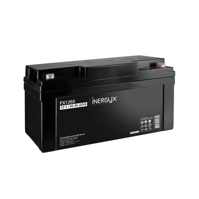 (FX1265) Batterie rechargeable VRLA 12V / 65 Ah - Bac FR UL94 V-0 - 350 x 167 x 178 mm