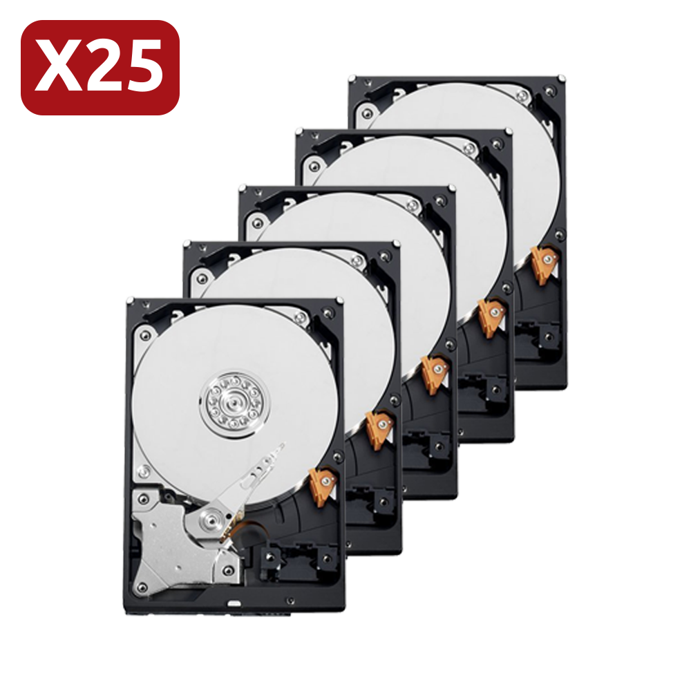 (25XHD4TB-S) Pack de disques durs Seagate - Modèle ST4000VX000 - 20 unités - 4 TB de stockage - Spécial CCTV