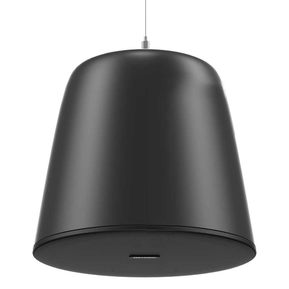 (DS-QAZ0530G1/BLACK) Enceinte analogique suspendue - Puissance 30 W - Sensibilité 92 dB (8 Ω) -