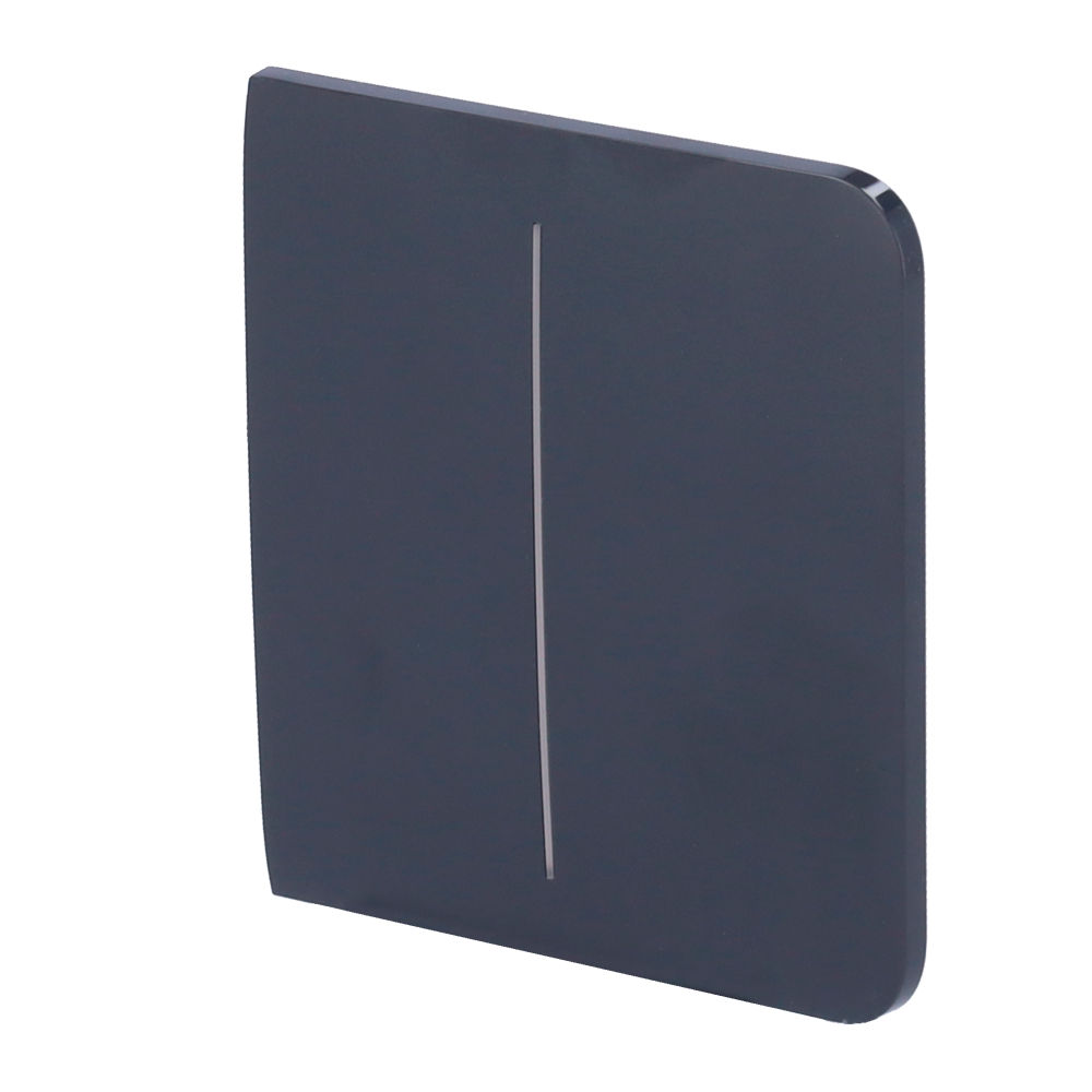 [AJ-SIDEBUTTON-2G-GRA] (AJ-SIDEBUTTON-2G-GRA) Panneau tactile pour double interrupteur d'éclairage - Compatible avec AJ-LIGHTCORE-2G - Rétro-éclairage LED - Panneau tactile latéral sans contact - Couleur graphite - Ajax - LightSwitch SideButton