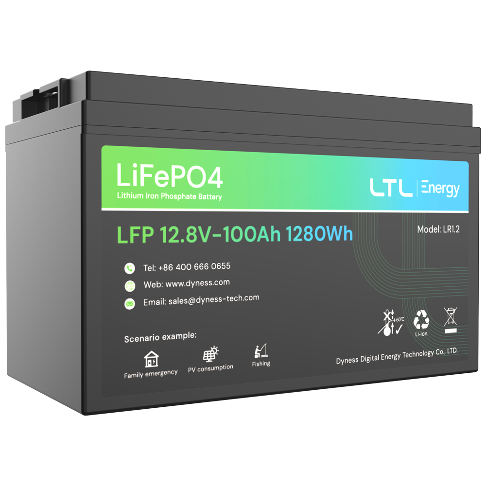 (DY-AR-1200) Batterie stationnaire - Capacité 1280Wh - LiFePO4 12V / 100Ah - 3000 cycles de vie - Jusqu'à 16 unités en parallèle - IP 65